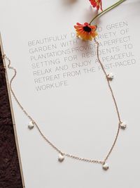 Icandy Fashion